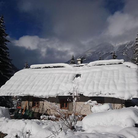 Wild Flower Cottage In ترينتا المظهر الخارجي الصورة