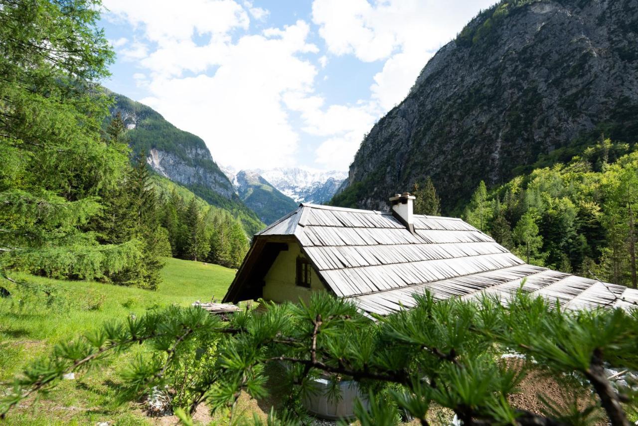 Wild Flower Cottage In ترينتا المظهر الخارجي الصورة