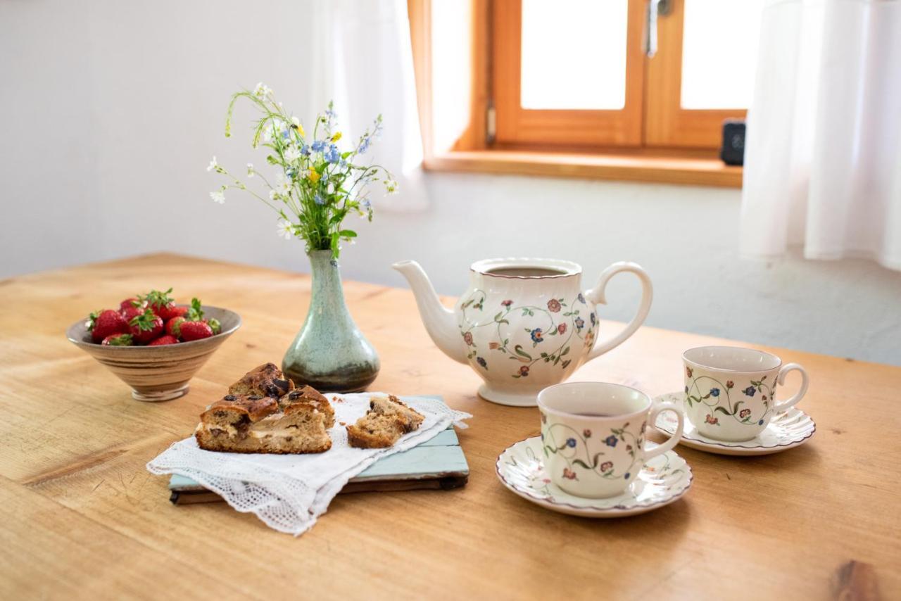 Wild Flower Cottage In ترينتا المظهر الخارجي الصورة
