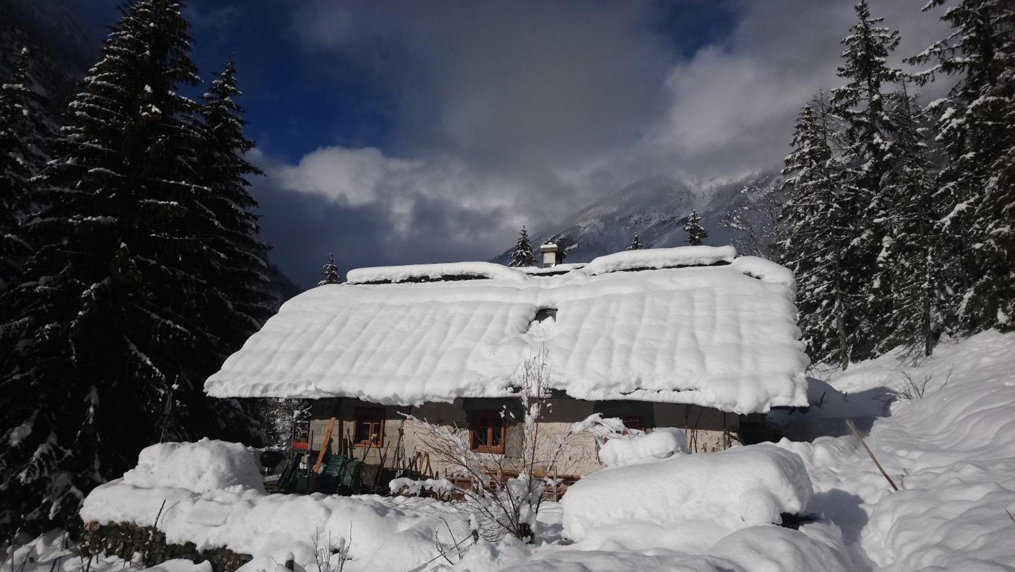 Wild Flower Cottage In ترينتا المظهر الخارجي الصورة